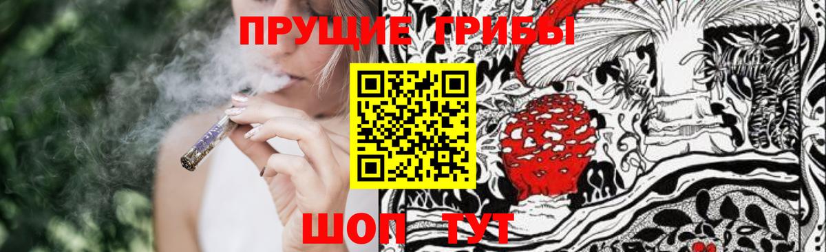 Галлюциногенные грибы Psilocybe  Вход с VPN  Дивногорск  Псилоцибиновые грибы Psilocybe 