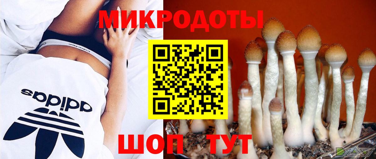 Галлюциногенные грибы мицелий Дивногорск